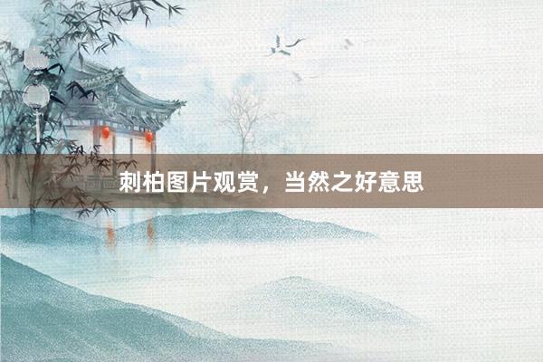 刺柏图片观赏，当然之好意思