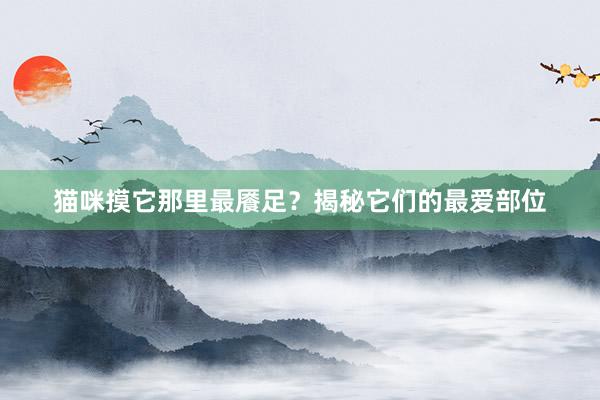 猫咪摸它那里最餍足？揭秘它们的最爱部位